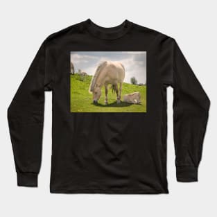 Lazy Afternoon Long Sleeve T-Shirt